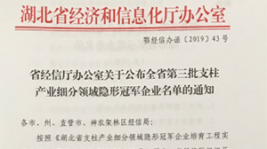 天瑞电子被认定为“湖北省支柱产业细分领域隐形冠军示范企业”
