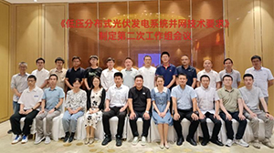 《低压分布式光伏发电系统并网技术要求》起草工作组会议在南京召开